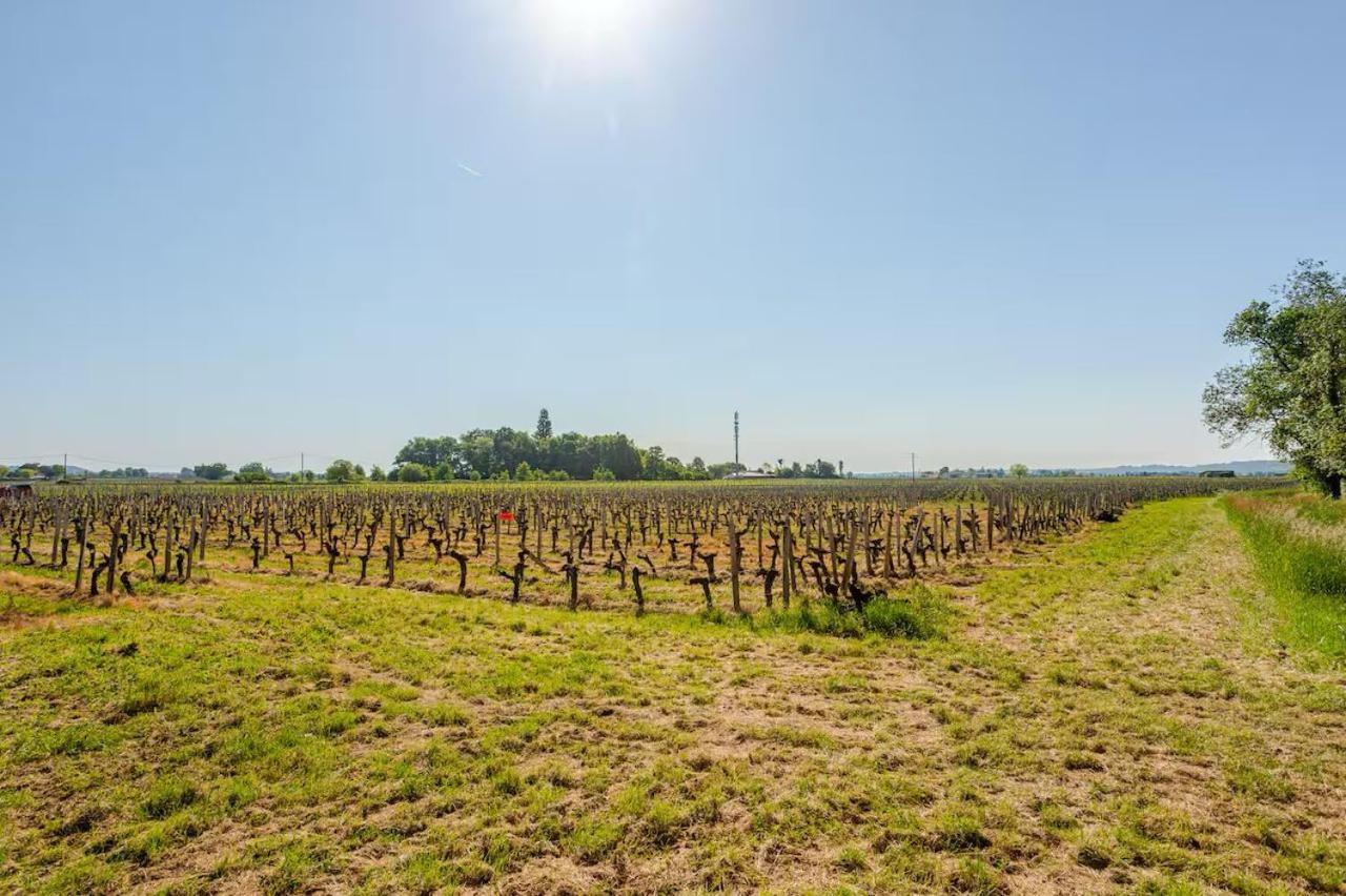 Guesthouse Les Maurins Saint-Sulpice-de-Faleyrens ภายนอก รูปภาพ